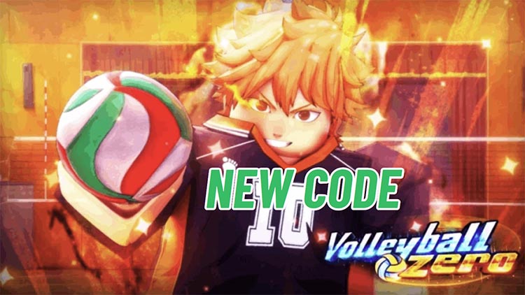 Code Volleyball Zero